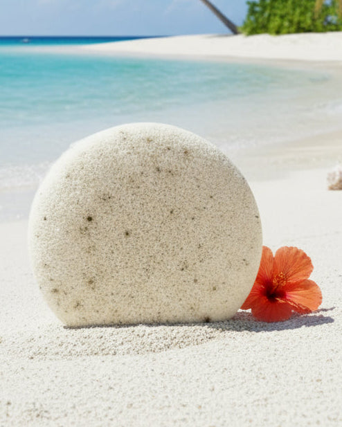 Konjac Walnut Seed Facial Sponge