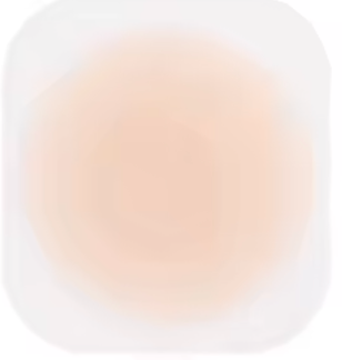 Adhesive Nipple Cover Breast Petal Patch Silicone