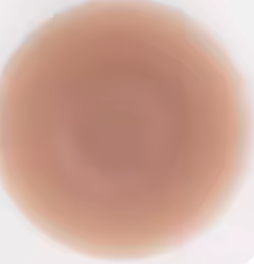 Adhesive Nipple Cover Breast Petal Patch Silicone