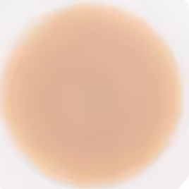 Adhesive Nipple Cover Breast Petal Patch Silicone